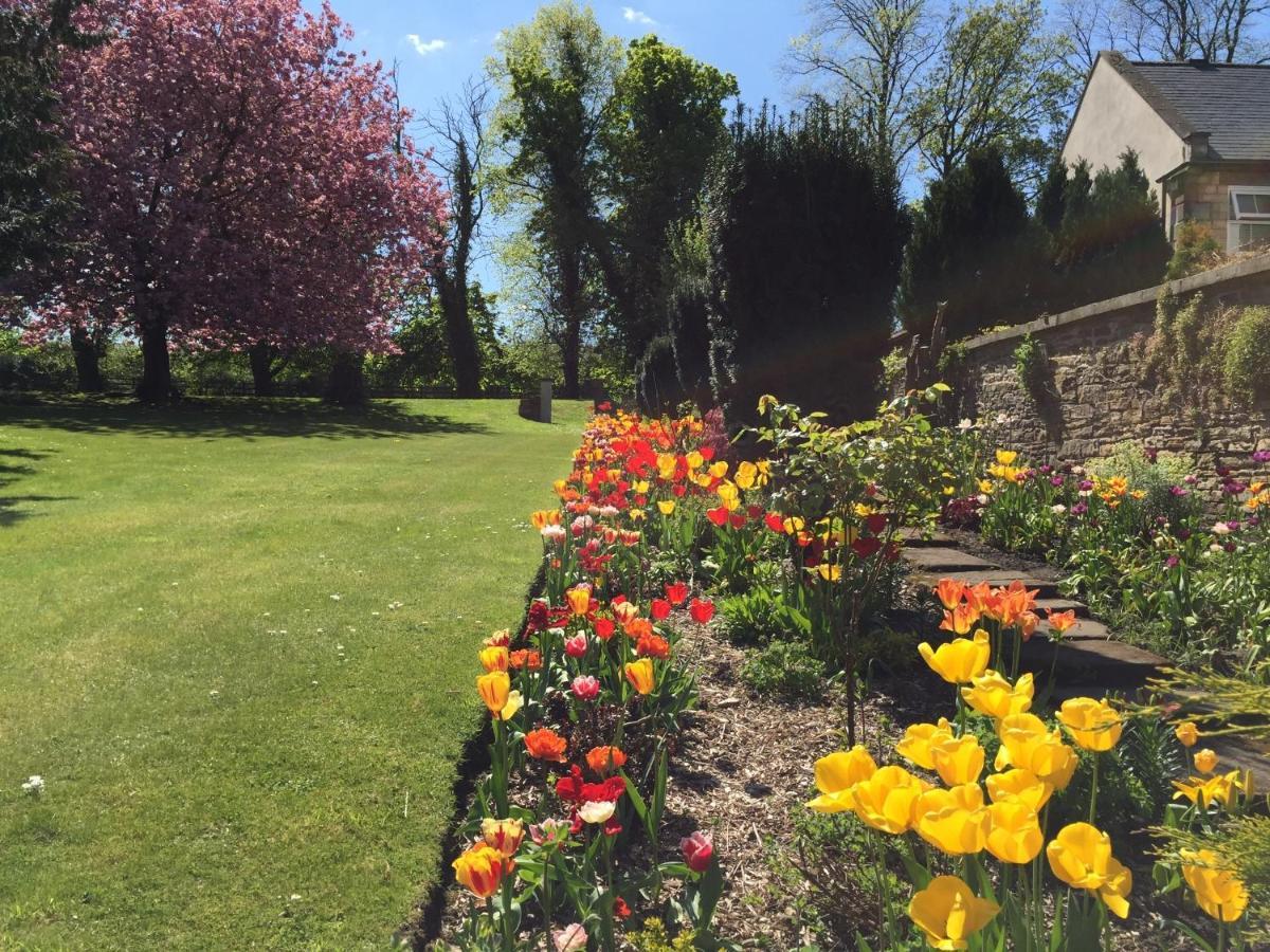 Hedgefield House Hotel Ryton  Bagian luar foto